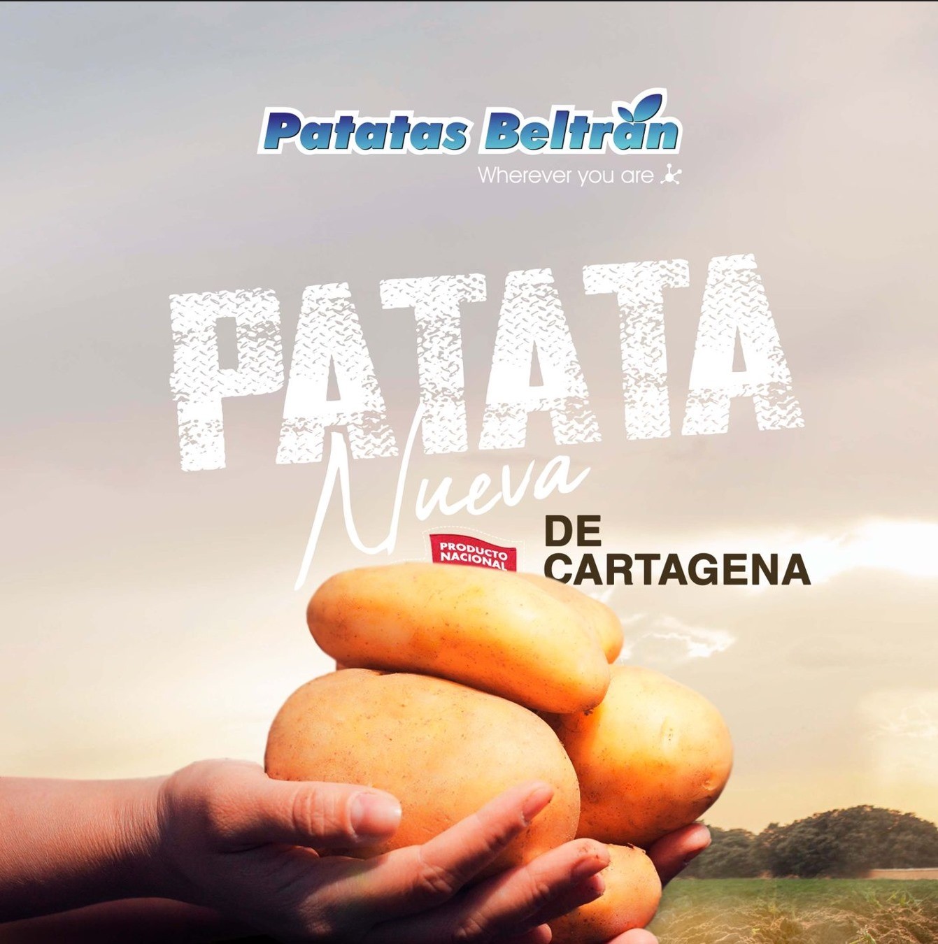 Patatas nuevas españolas